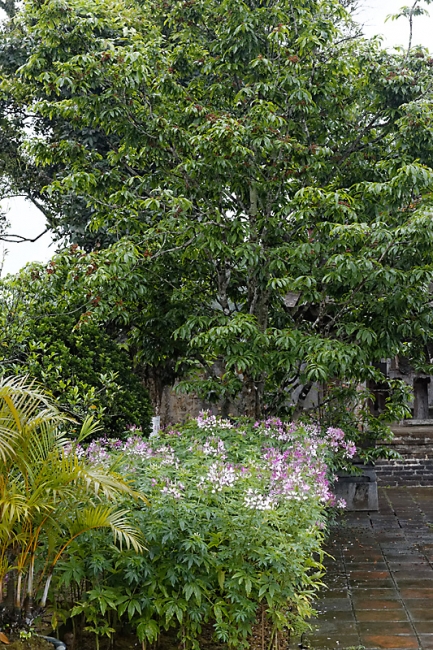 Hué-Tombeau de Minh Mang-050